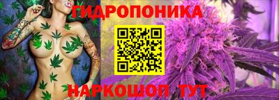 Альфа ПВП Бийск
