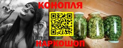 Альфа ПВП Бийск