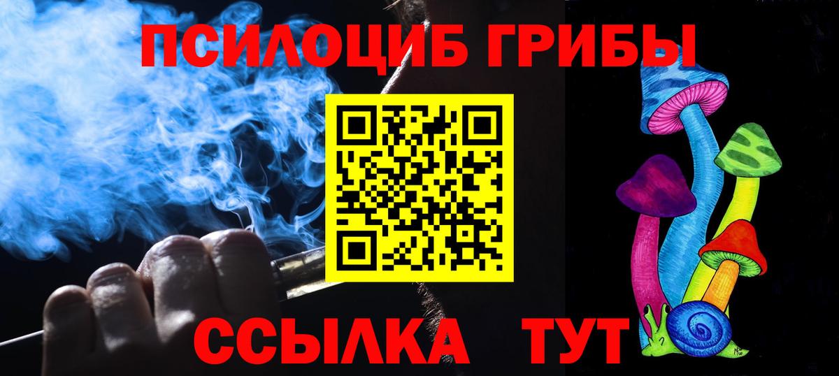 Псилоцибиновые грибы Psilocybine cubensis  Вход с VPN  Верхняя Пышма 