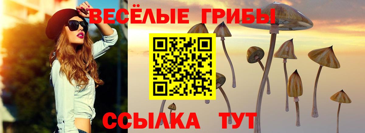 Псилоцибиновые грибы прущие грибы Верхняя Пышма